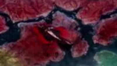 I’ve been around a bit and oh boy let’s just say here’s what I’ve seen