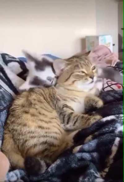 he has seen some stuff