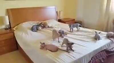 Наташа, не заправляй кровать! Наташа, нам холодно!