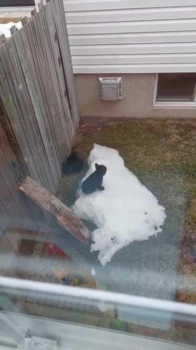 to cross through a backyard