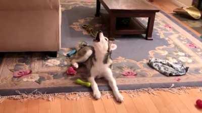 did you pronounce it wrong?? listen to me and say it again