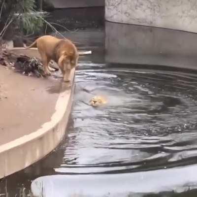 that's what happens when you don’t look under your feet