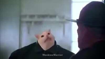 SHOW ME YOUR WAR FACE!!