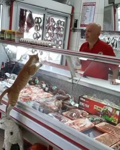 The smart cat and the generous man.