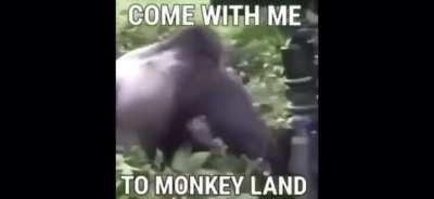 Dreams can come true