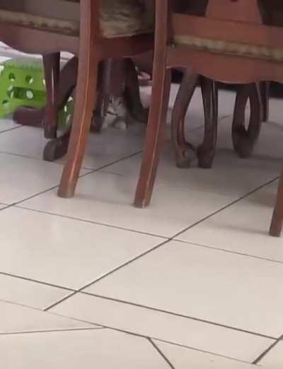 An unexpected ending...