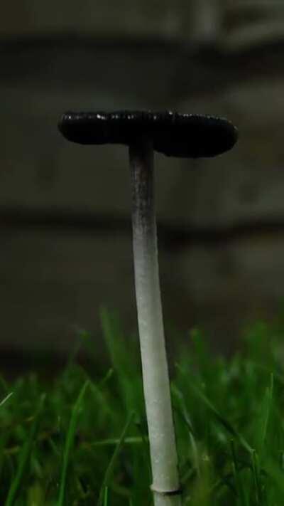 OMG, HOW COOL IS THIS?