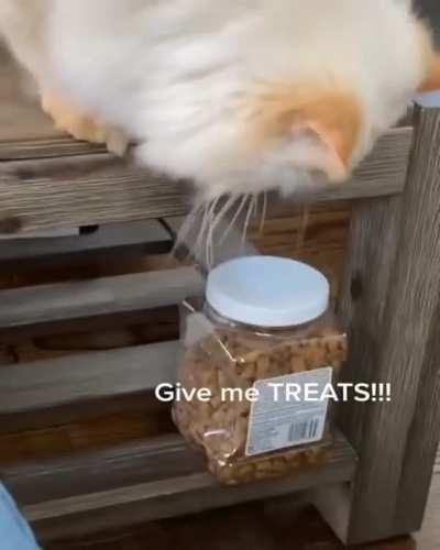 He knows what he wants