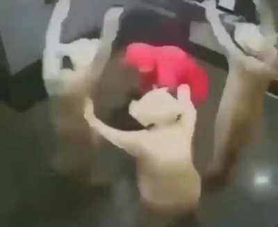cursed_Ritual