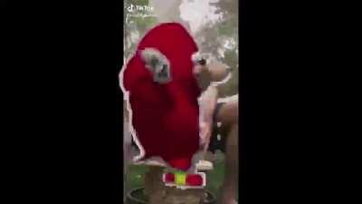 Wipeout Theme Song.mp3