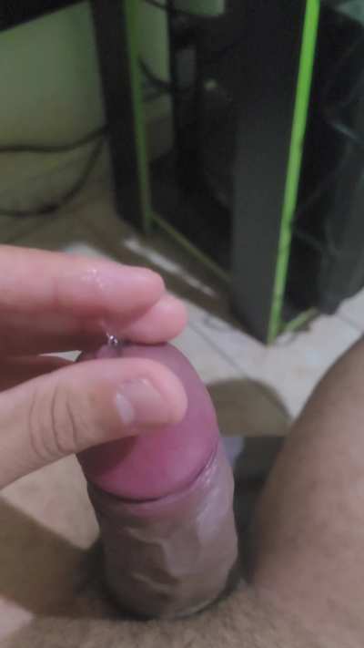 (24) O que faria se recebesse um vídeo desse?