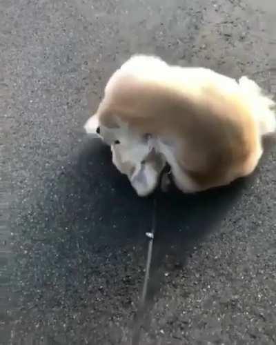 I got it! I got it! ...I still got it!