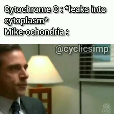 The bell of the ball