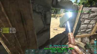 i thought i was safe inside... (part two of these flying gator menaces)