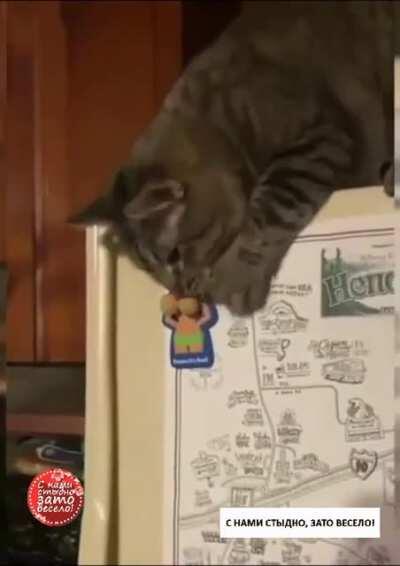 Шаловливые лапки