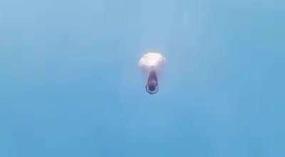 (cross post) dont ask me what this is