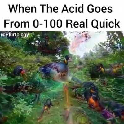 The acid rain effect.