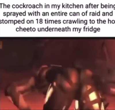 This is my favorite meme template