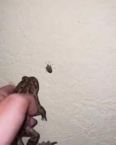 Everytime I see this Tiktok video reposted, I can't help but think..