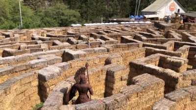 Check out this big maze in Half Moon Bay