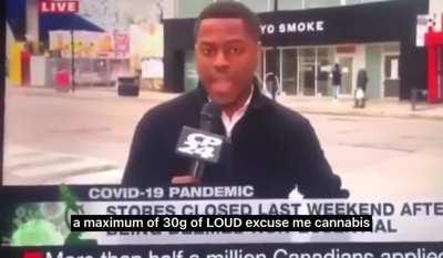 [oc] Hey mister reporter, keep that lingo on the DL. Whoops 😅