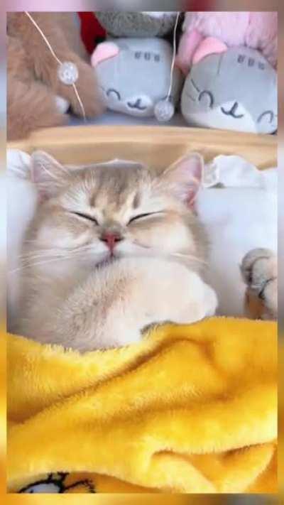 cuteness overload 😘