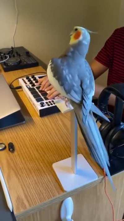 Just jamming with the guys