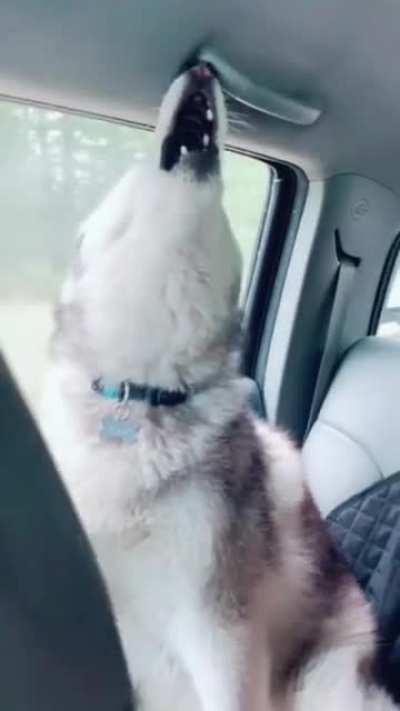 Эй, хочешь услышать самый раздражающий звук в мире?