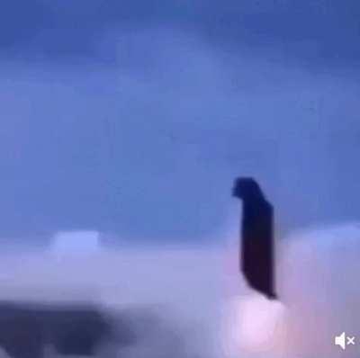 Blursed_PenguinAttack