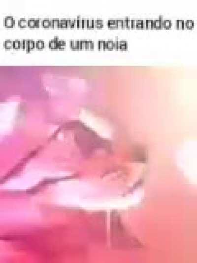 Orochisegundo - Video #8764