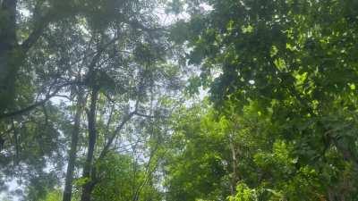 Redhead GIF by hansolokemperl