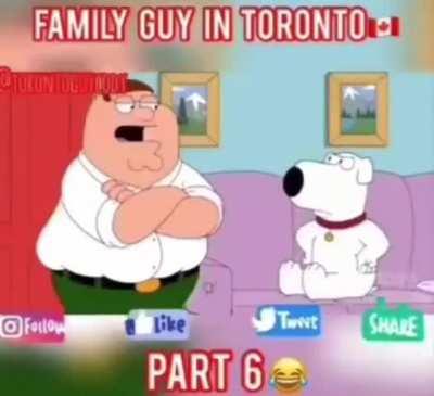 family guy in toronto