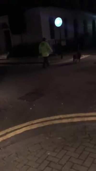 Was würdet ihr machen, wenn ihr so etwas draußen seht ? 🤣🤣