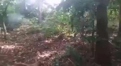 Those were the days !!!