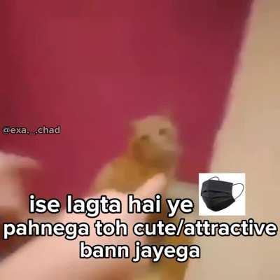 tit-le kala mask nahi pehenta