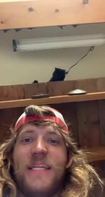 You can see it in its eyes