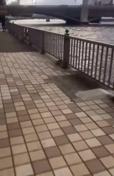 Cameraman did a great job keeping everything in frame