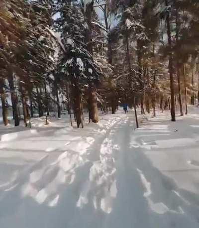 Сюрпрайз, мазафака