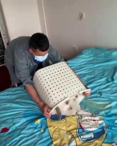 The best kind of laundry