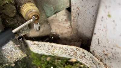 Well, that’s something I haven’t seen yet