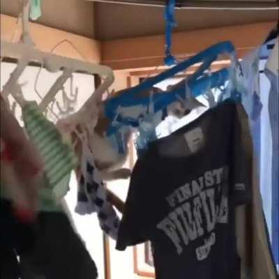 Spidercat agility.exe not found