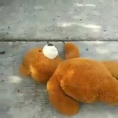 He missed the fucking bus bitch😭💔