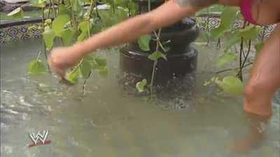 Lita: WWE Viva Las Divas