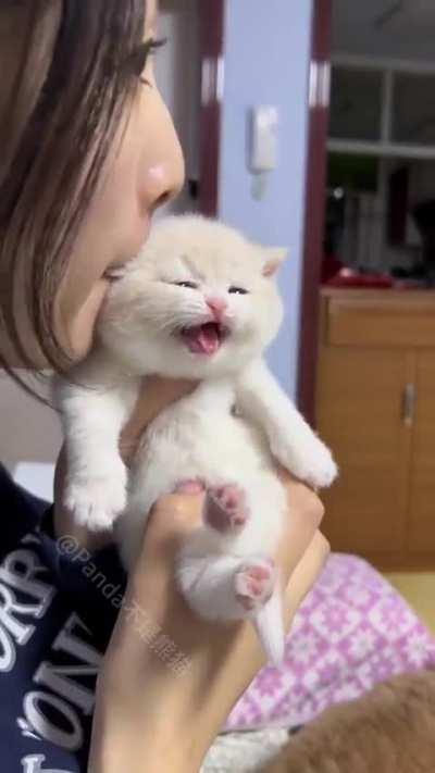 Absolutely adorable, looks eatable, yes