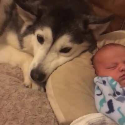 She's in love with the tiny human