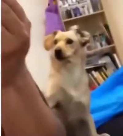 Oh god, I didn't mean it!