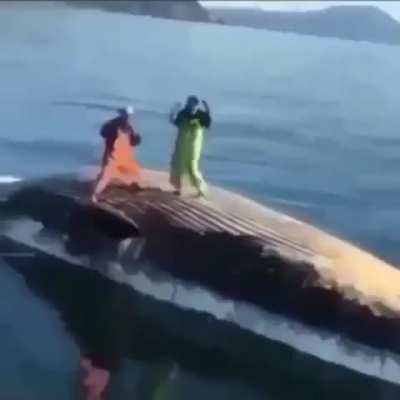 the purge of unfuny fleas from this holy place has finished. hundreds lay dead in the streets. thousands more lay injured and tempbanned. i sit on top of a pile of bodies eating my 6000 mcdonalds rewards points worth of chicken nuggets. 6/10 theyre alrigh