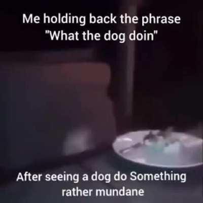 i cannot hold it in anymore