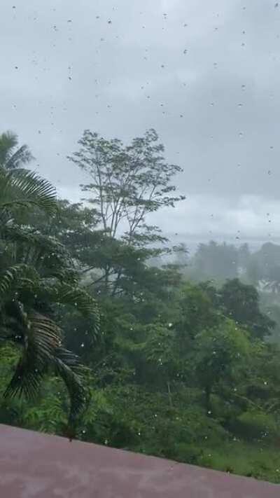 Rain at a treehouse in Fiji