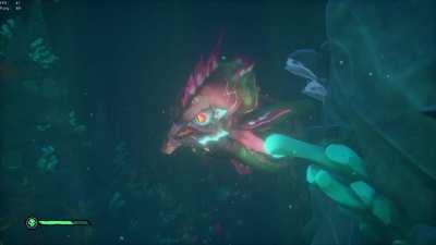 High quality look at the kraken